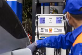 Primer ministro vietnamita ordena equilibrar demanda y oferta de gasolina para mercado interno