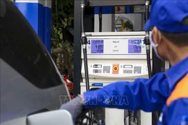 Primer ministro vietnamita ordena equilibrar demanda y oferta de gasolina para mercado interno