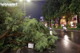 La lluvia alivia el calor de más de una semana en Hanoi