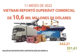Vietnam reportó superávit comercial de 10,6 mil millones de dólares en 11 meses