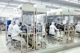 Inversiones vietnamitas en el exterior suman 646 millones de dólares