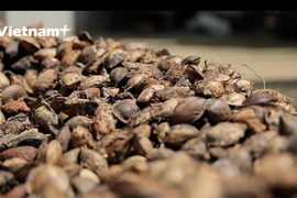 Con Dao maravilla con mermelada de semillas de almendro malabar, una especialidad típica