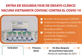 Entra en segunda fase de ensayo clínico vacuna vietnamita Covivac contra el COVID-19