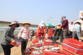 Quang Tri dedica esfuerzos por estabilizar la vida de pescadores locales