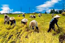 Vietnam abre concurso para buscar nuevos modelos de cooperativas