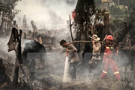 Indonesia registra 65 zonas en peligro de incendios forestales