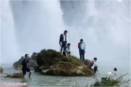 Cortometraje vietnamita rivaliza por galardón Oso de Oro