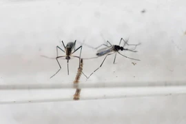 Singapur confirma primer caso del virus Zika
