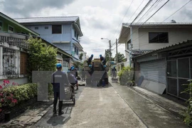 Detectan nuevos casos de Zika en Tailandia y Singapur