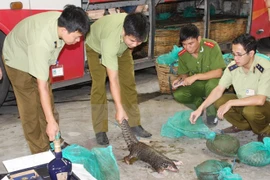 Más de 50 países asistirán a conferencia sobre comercio de animales salvajes