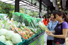 Siguen en alza exportaciones agroforestales y acuáticas de Vietnam