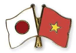 Cooperan Vietnam y Japón en operaciones de paz de ONU