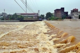 Tormenta Dianmu provoca pérdidas mínimas en Vietnam