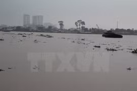 Debaten en Vietnam soluciones para manejar agua en las cuencas de ríos