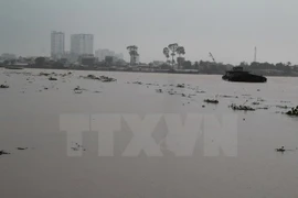 Debaten en Vietnam soluciones para manejar agua en las cuencas de ríos