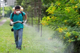 Detectada una vietnamita infectada de Zika en Japón