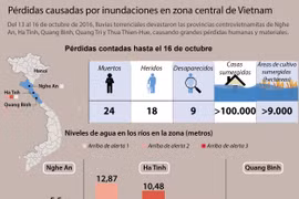 [Infografia] Pérdidas causadas por inundaciones en zona central de Vietnam