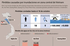 [Infografia] Pérdidas causadas por inundaciones en zona central de Vietnam
