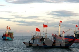 Trato a pescadores debe ser conforme a las leyes internacionales