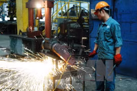 Medidas de salvaguarda deben armonizar con intereses de empresas
