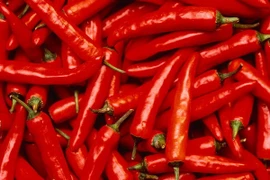 Grupo sudcoreano invierte en plantaciones de chile en VN