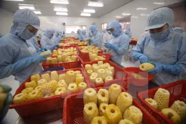 Vietnam por promover integración económica y desarrollo del sector agrícola
