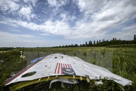 Australia sugiere un tribunal como el de Lockerbie para MH17 