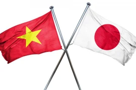 Celebran segundo congreso de la Asociación de Amistad Vietnam- Japón