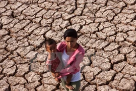 Seminario en Vietnam sobre riesgos de desastres naturales a personas vulnerables