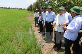 Aceleran proyecto agrícola del Banco Mundial en Vietnam