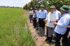 Aceleran proyecto agrícola del Banco Mundial en Vietnam