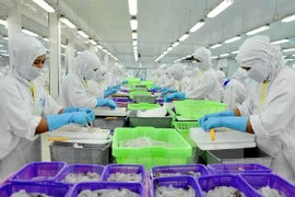 Provincia de Vietnam por perfeccionar el gobierno electrónico