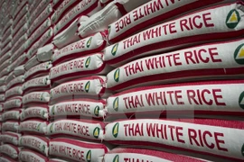 Tailandia elabora estrategia a largo plazo para el arroz