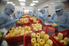Vietnam por promover integración económica y desarrollo del sector agrícola