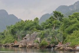 Ubicado Phong Nha-Ke Bang entre los mejores parques sudesteasiáticos