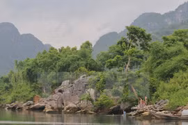 Ubicado Phong Nha-Ke Bang entre los mejores parques sudesteasiáticos