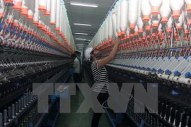 Perspectivas optimistas de empresas europeas sobre mercado de Vietnam