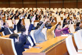 Líder parlamentario vietnamita mantiene contacto con electores