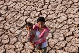Vietnam aumenta conciencia ciudadana sobre lucha contra desastres naturales