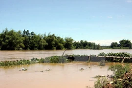 Inundaciones dejan ocho muertos en Vietnam