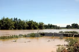 Inundaciones dejan ocho muertos en Vietnam
