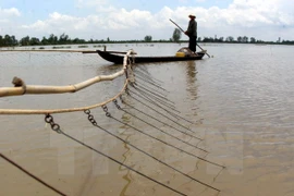 BAD aprueba nuevo préstamo para ayudar a Camboya en el desarrollo agrícola