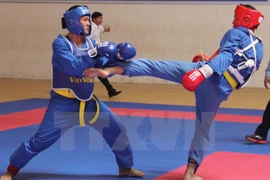 Diferentes tipos de artes marciales se reunirán en Festival en Ciudad Ho Chi Minh