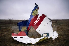 Malasia se compromete a averiguar explicación para la tragedia MH17