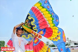 A divertirse con el festival internacional de papalotes en Vietnam 