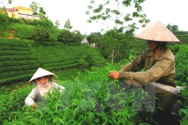 Vietnam promueve comercio e inversiones en Estados Unidos