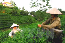 Vietnam promueve comercio e inversiones en Estados Unidos