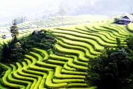 Lao Cai despierta a su gran potencial turístico