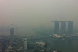 Malasia llama a países de ASEAN a unir esfuerzos contra desastre neblina