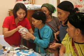 Asistencia holandesa al empoderamiento de mujeres en Vietnam